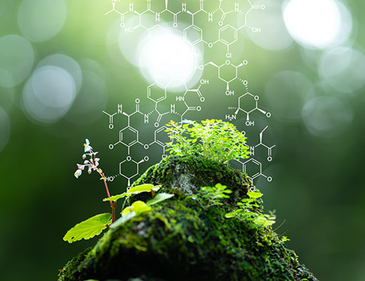 Biotechnology Industry in India