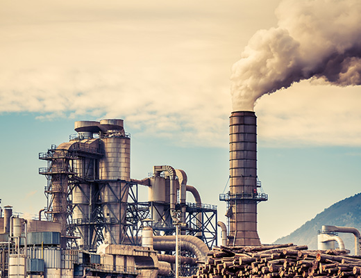 top cement companies in india