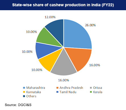 State-wise Share of Cashew Manufacturers in India