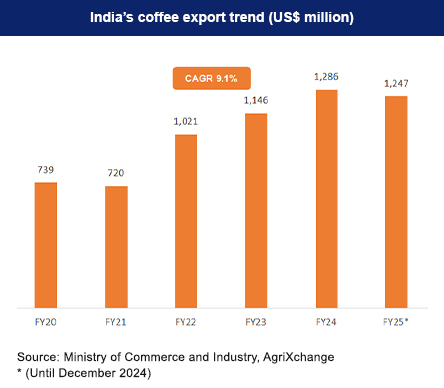 India's Coffee Export Trend