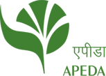 APED Logo