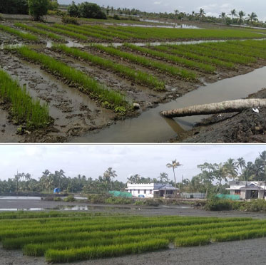 LUCKNOW CHIKAN CRAFT