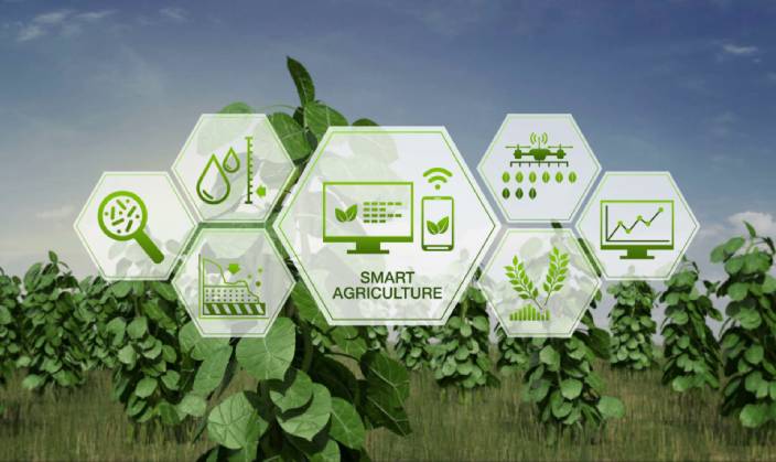 India’s Smart Agriculture Strategies
