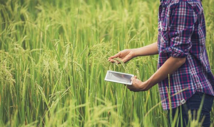 Promising Investment Prospects in Agritech