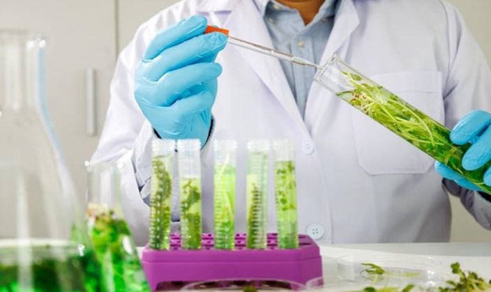India on the path to becoming a Bio-manufacturing Hub