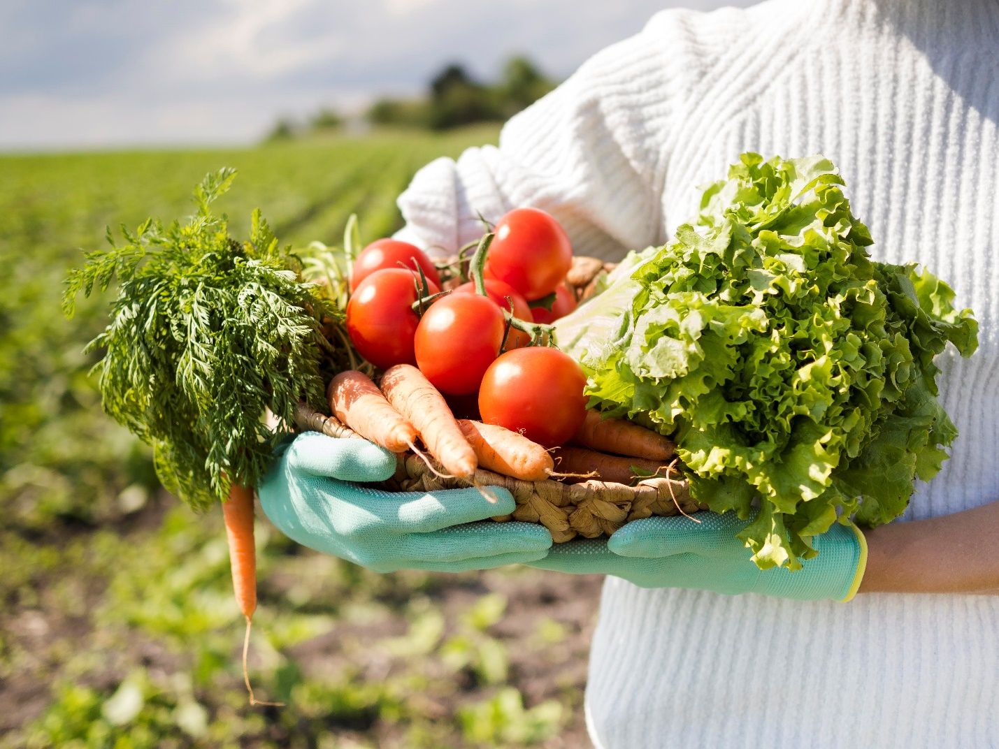 Leveraging Agroecological Approaches for Clean and Green Villages