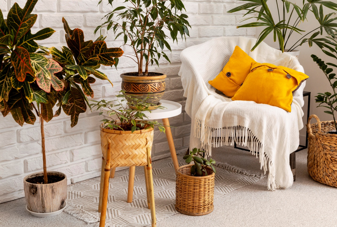 Transforming Spaces: The Growth and Opportunities in India’s Home Décor Industry