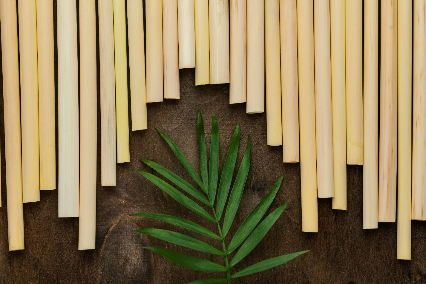 Green Building Materials: Improving India’s Construction Emissions
