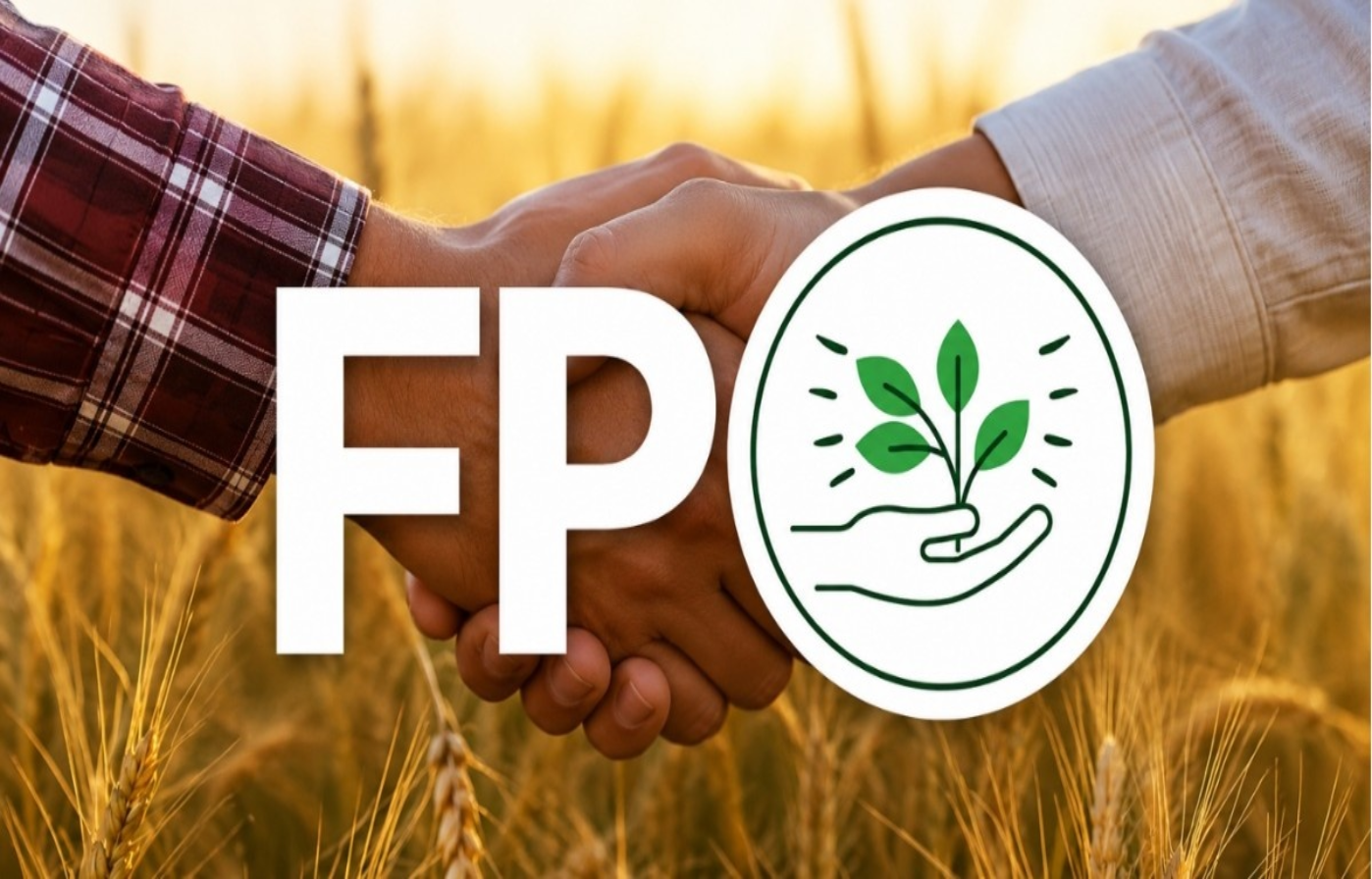 Farmer Producer Organisations (FPOs): Strengthening Rural Supply Chains