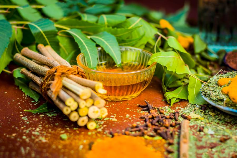 High demand for medicinal plants in India