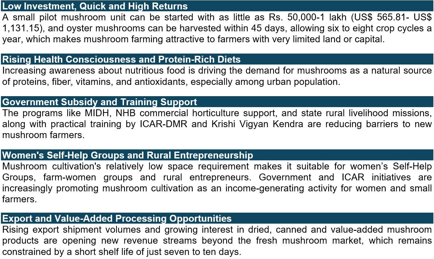 Growth Drivers and Key Trends